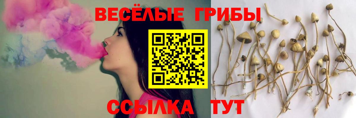 Малоярославец  Галлюциногенные грибы ЛСД  закладка  Вход с VPN  Галлюциногенные грибы прущие грибы 