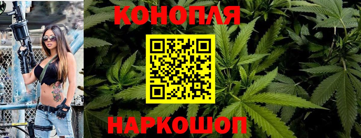 Конопля планчик Малоярославец